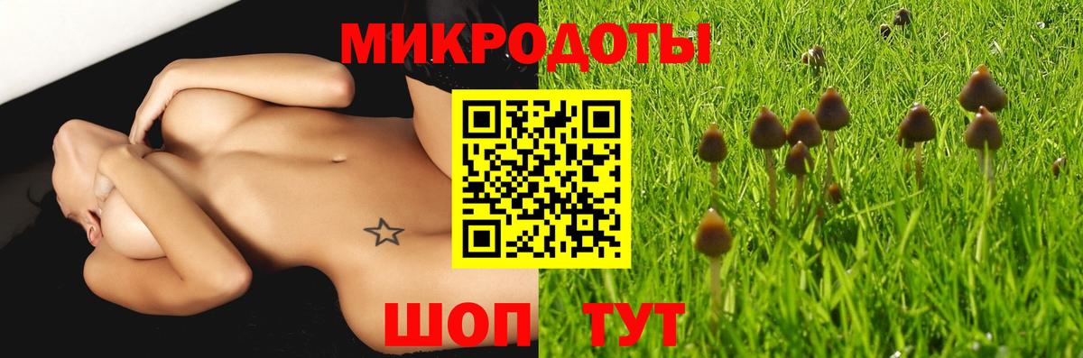 наркотики  Вход с VPN  Светлоград  Псилоцибиновые грибы Psilocybe  Псилоцибиновые грибы MAGIC MUSHROOMS 
